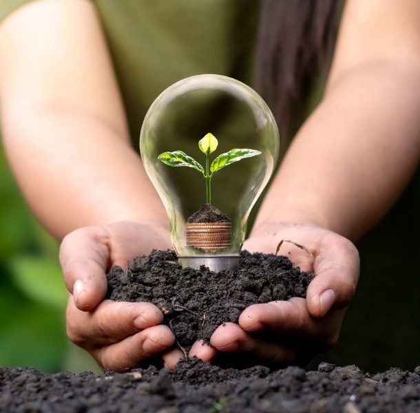 Image représentant une plante dans une ampoule tenant dans les mains avec de la terre