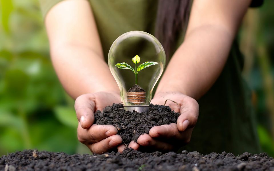 Image représentant une plante dans une ampoule tenant dans les mains avec de la terre